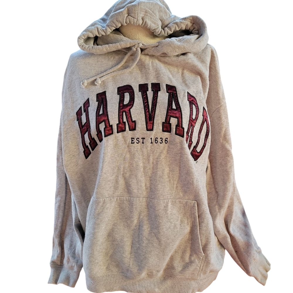 Gray Men's Hoodie